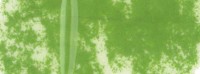 Пастель сухая REMBRANDT, №626,7 Киноварь зеленая светлая