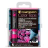 Набор цветовых блендеров Chameleon Floral Tones / цветочные тона 5 шт. CT4512