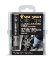 Набор цветовых блендеров Chameleon Gray Tones / серые тона 5 шт. CT4509