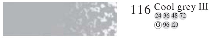 Пастель профессиональная сухая полутвёрдая квадратная цвет № 116 холодный серый III