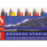 Набор Gouache Studio красок в тюбиках, 8 цветов по 10 мл, пластиковый футляр