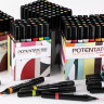 Набор маркеров Potentate Bag Set 12 цветов (на спиртовой основе)