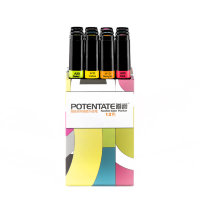 Набор маркеров Potentate Box Set 12 цветов (на спиртовой основе)
