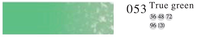 Пастель профессиональная сухая полутвёрдая квадратная цвет № 053 зеленый