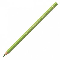 Цветной карандаш Polychromos 170 Нежно-зеленый